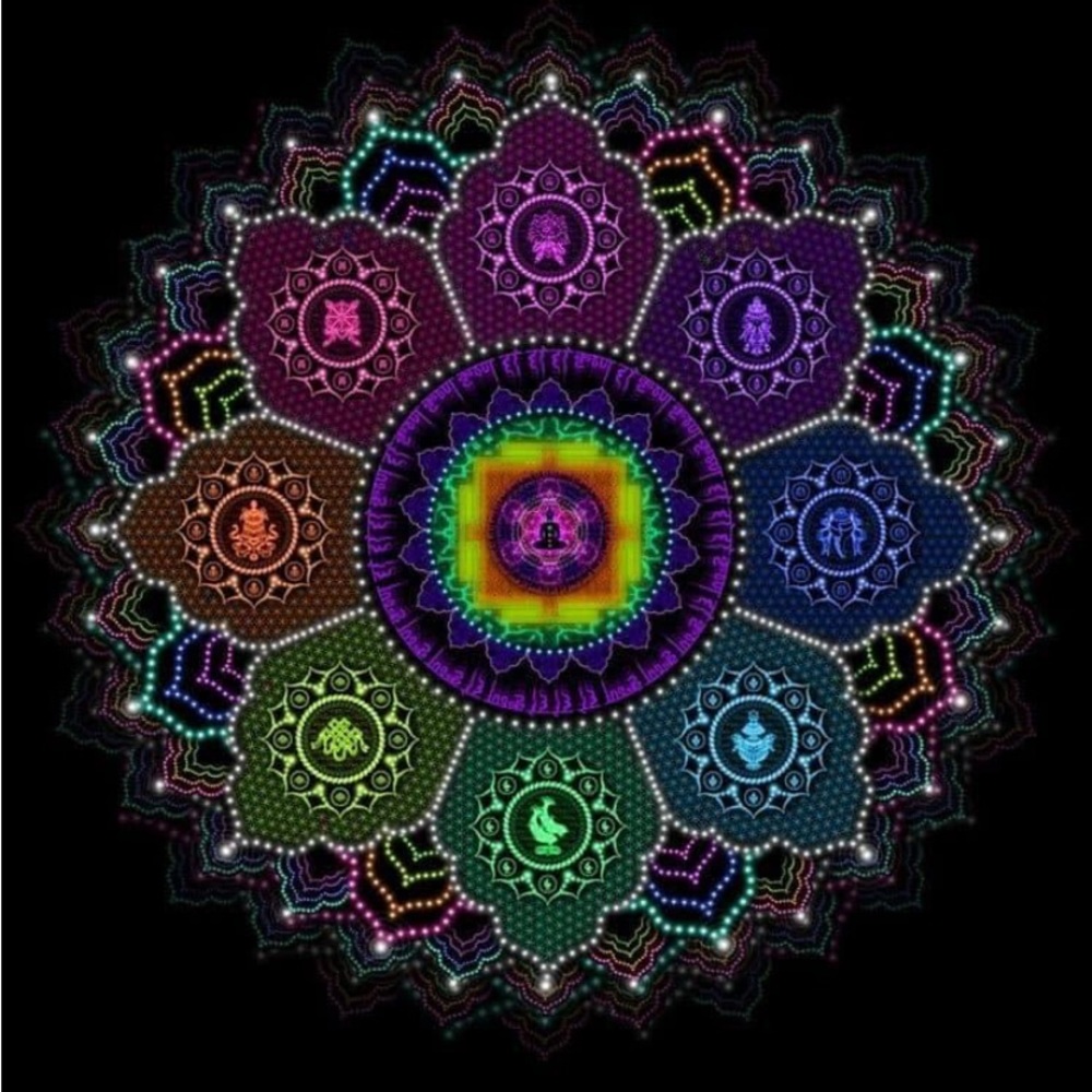 Meet your Posher, Donna